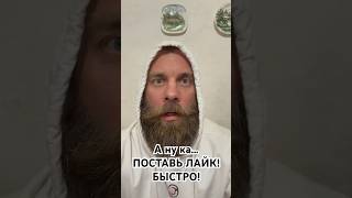 Истинная истинна