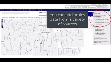 Overlaying Omics Data in PathwayCyc