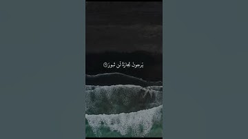 قران سورة فاطر القارئ ناصر القطامي