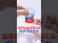 エビもどき どうなった？生きたエビが生まれる😱ミニチュア水族館の 実験 ガチャガチャ🔥 #Shorts #ガチャガチャ #実験 #検証 #miniature