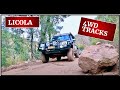 Exploring the best 4wd tracks around licola   free camping is the best 