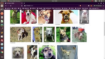 Find My Twins Demo | Image Search | Deep Learning | Machine Learning | AI | Python | Vinnyhere