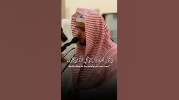 (وَعَلَى ٱللَّهِ فَلْيَتَوَكَّلِ ٱلْمُتَوَكِّلُونَ) القارئ عبد الله القرافي #قرآن #اكسبلور #الله