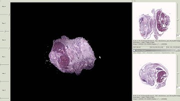 3D reconstruction (1)