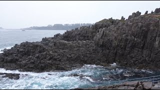 富士の水が育てた海の幸を頂きました 山梨県 陸上養殖編 熱源プロジェクト