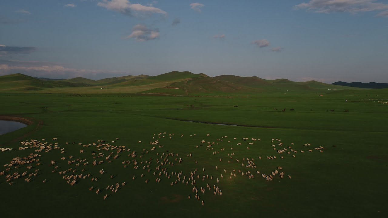 Hulunbuir series | Episode 1: Hulunbuir Grassland