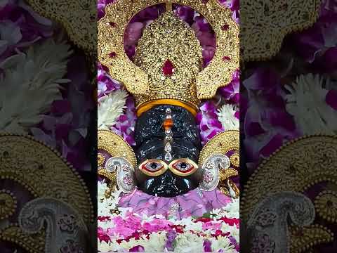 jai shree shyam sarkar #viralshortsvideo #shreekhatushyam #khatushyamsarkar #shyam #khatuwalashyam