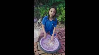 រាប់ដង្កូវដួងមើលទៅមិនដឹងថាគួរអោយខ្លាចឬ គួរអោយស្រឡាញ់ទេ#foryou​#lifeisbutadream #កម្មវិធីកសិកម្ម#fyp