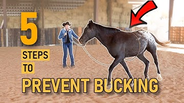 First Time Saddling | Prevent CINCHINESS and BUCKING! | Colt Starting Part 2