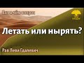 Летать или нырять? — Вот в чём вопрос. Рав Леви Гдалевич