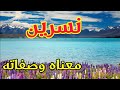 معنى اسم نسرين وصفات حاملة هذا الإسم
