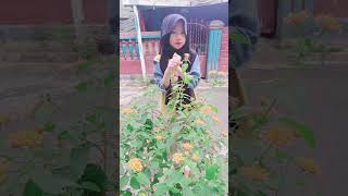 masih ingat nggak nih sound kapan #subscribe #donestafamily #fypyoutube #trending