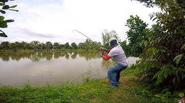 FISHING . REVIEW HỒ CÂU CÁ GIẢI TRÍ THỐNG NHẤT.