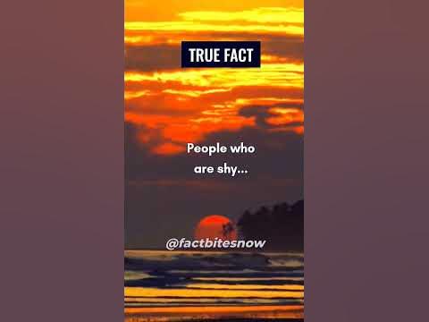 The One Thing You Need to Know About People Who Are Shy ! #shorts #