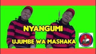 SALAWA NYANGUMI UJUMBE WA MASHAKA AUDIO  MSAMBAZAJI DOTO K GASHI