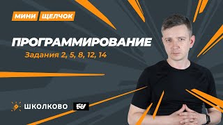 Программирование. Задания 2, 5, 8, 12, 14. МИНИ-ЩЕЛЧОК перед досрочным ЕГЭ по информатике 2024