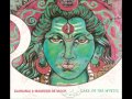 Bahramji & Maneesh de Moor - Call Of The Mystic (2004)