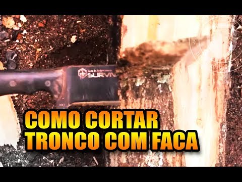 COMO CORTAR TRONCOS- BATONING – Dicas de Sobrevivência Aplicada