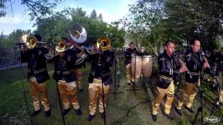 Video-Miniaturansicht von „Banda La Pava - La Danza Del Coyote (En Vivo 2016) HD“