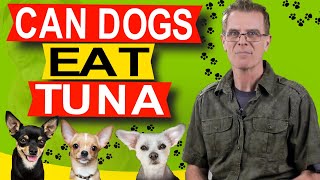 Can Dogs Eat Tuna (How Much?)