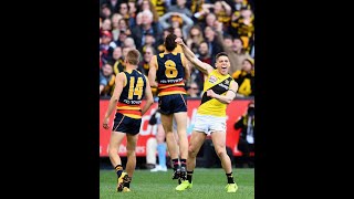 2017 Grand Final Richmond Vs Adelaide Radio Call