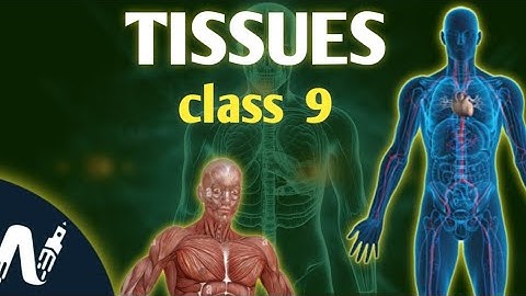 Tissue class 9 full chapter one shot | Tissue class 9 short animated video
