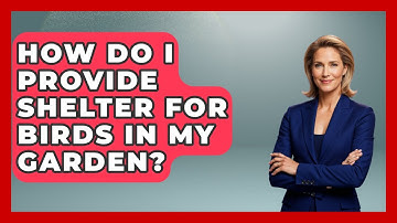 How Do I Provide Shelter For Birds In My Garden? - Bird Watching Diaries