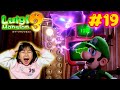 ムキムキおばけ登場！？ルームランナーで爆走爆笑ｗｗルイージマンション３☆＃19☆ニンテンドースイッチhimawari-CH