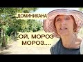 Ой, мороз, мороз... Доминикана. Конный поход на водопад Эль Лимон. Лучшие экскурсии в Доминикане