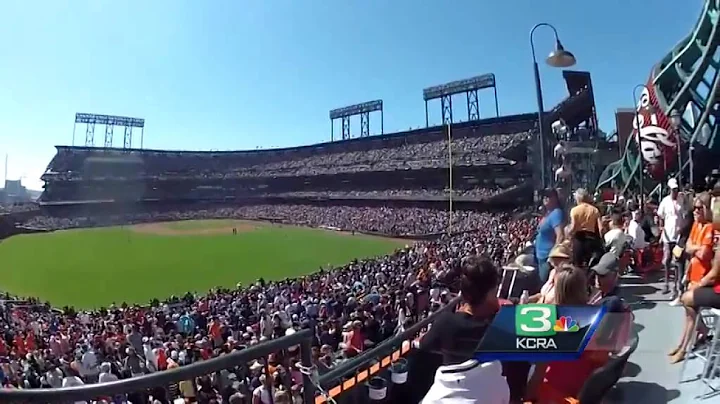 Meet the SF Giants' secret weapon: Their live orga...