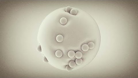 Cinema 4D: Collision Deformer & Dynamics - Interactive Effects Tutorial