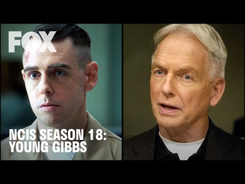 mark harmon ncis haircut