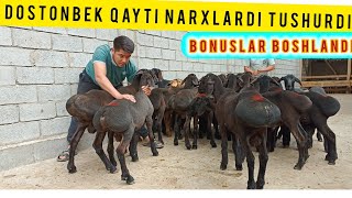 ARZONCHI DOSTON QAYTI NARXLARNI YORDI SHOSHILAMIZ SONI CHEKLANGAN