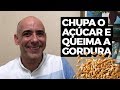 ESSA SEMENTE CHUPA O AÇÚCAR DO INTESTINO E QUEIMA GORDURA | Dr Dayan Siebra