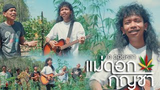 Video thumbnail of "แม่ดอกกัญชา - เค ดอนหลา 「Official MV」"