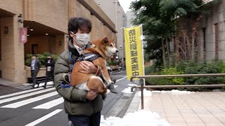 愛犬と一緒に避難訓練　首都直下地震を想定　都内ホテル