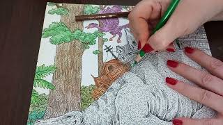 ASMR Worlds within Worlds Coloring Book 11