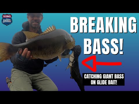 Breaking Bass: Catching GIANT BASS on Glide Baits! (2022) 