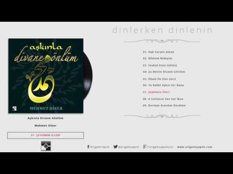 Şeyhimin İlleri / Mehmet Diker