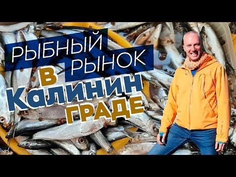 Рыбный рынок в Калининграде