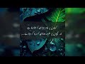 Golden Words In Urdu 13 Quotes About Allah Mp3 Song