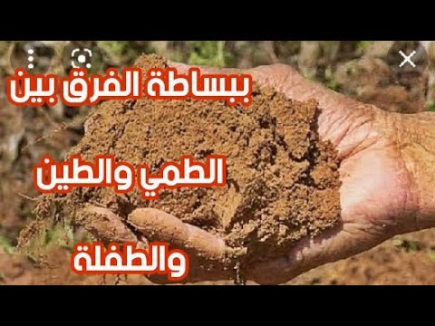 فيديو: من أين أتى مصطلح الطين الخوخ؟