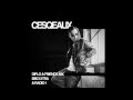 Cesqeaux - Diplo and Friends Mix - 5/04/2014