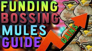 2022 Full UPDATED Bossing Mule Funding Guide in Maplestory Reboot