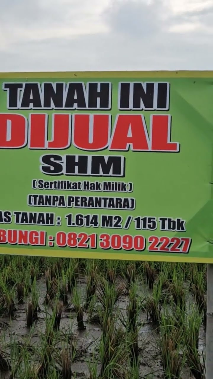 LAHAN PESAWAN INGIN DIJUAL GARUT