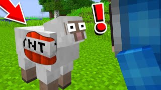 Jeg Pranker Phoxy Med TNT MOBS I Minecraft!