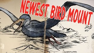 ark survival pelagornis evolved bird mount