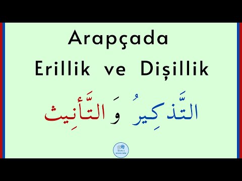 Arapçada Kelime Cinsiyetleri (Erillik ve Dişillik) | ARAPÇA DERSLERİM