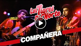 1992 - COMPAÑERA - Tigres del Norte - en vivo en La Expo Guadalupe -