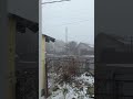 туман